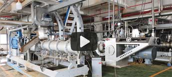 時(shí)產(chǎn)10噸膨化水產(chǎn)飼料線生產(chǎn)